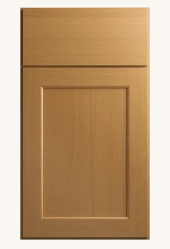 Full Overlay door example